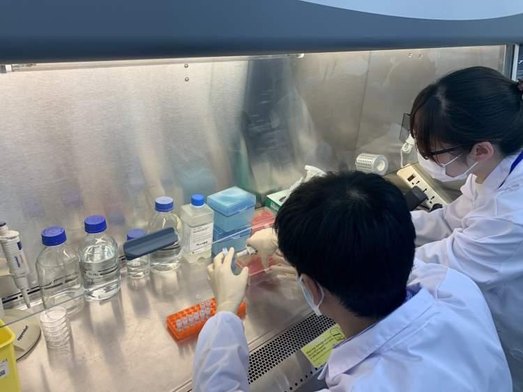 申金长生在何方，家中有宝一定发打一准确生肖,警惕虚假宣传落实,定量解答解释落实