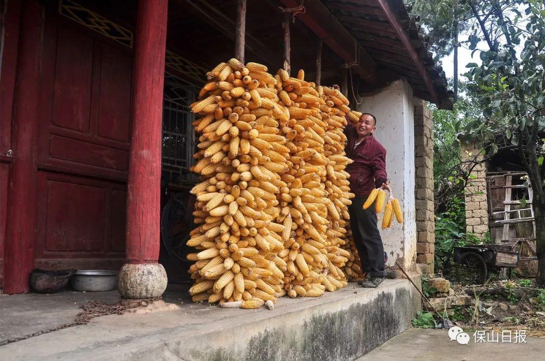 申金长生在何方，家中有宝一定发打一准确生肖,警惕虚假宣传落实,定量解答解释落实